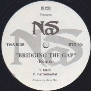 Bridging The Gap [Remix]